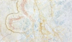 Discover New Trends with the latest Exhibitions and Events!